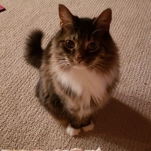 Meet your Posher, Mary beth